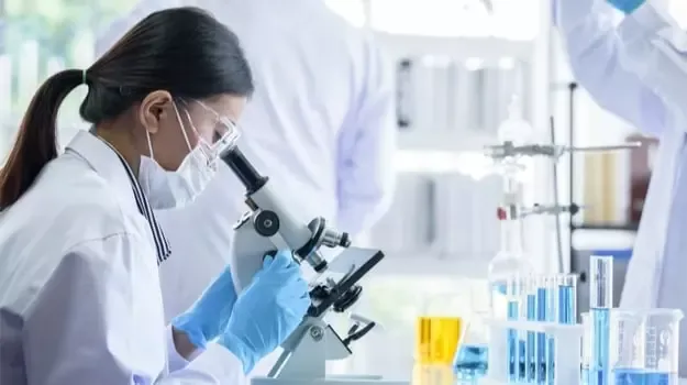 Brain wellness research